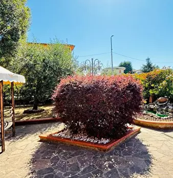 Foto annuncio 53