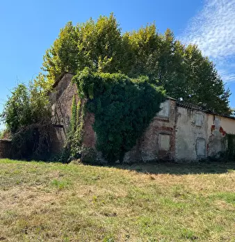 Foto annuncio 12
