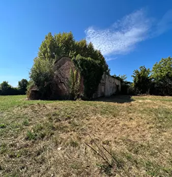 Foto annuncio 16