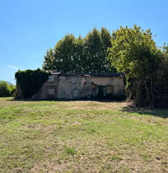 Foto annuncio 7