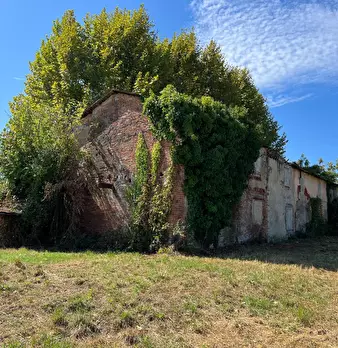 Foto annuncio 17