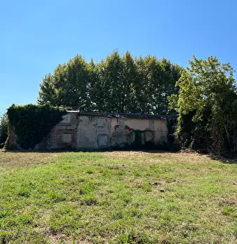 Foto annuncio 6