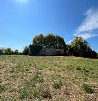 Foto annuncio 10