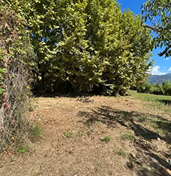 Foto annuncio 20