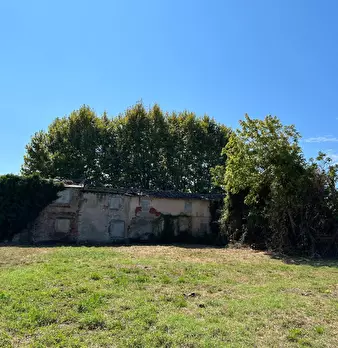Foto annuncio 5