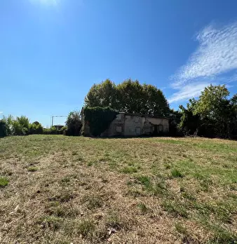 Foto annuncio 11