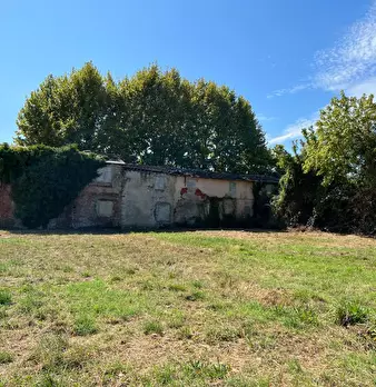 Foto annuncio 9