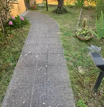 Foto annuncio 28
