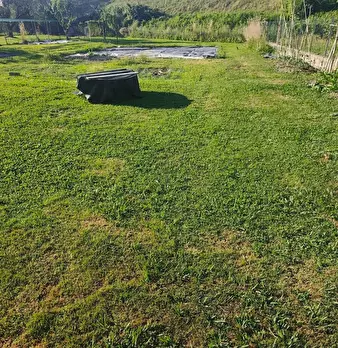Foto annuncio 41
