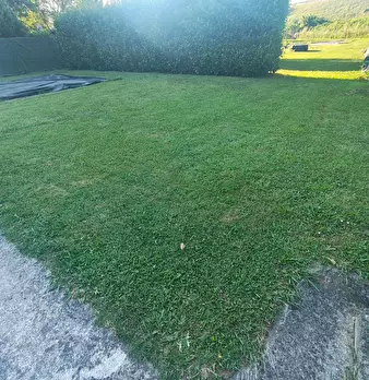 Foto annuncio 39