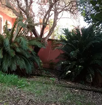 Foto annuncio 14