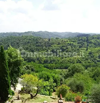 Foto annuncio 14