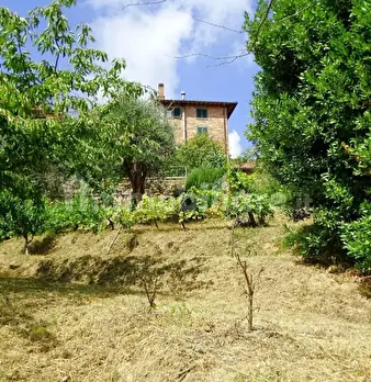 Foto annuncio 9