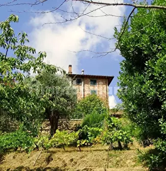 Foto annuncio 8