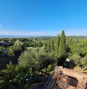 Foto annuncio 21