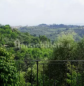Foto annuncio 16