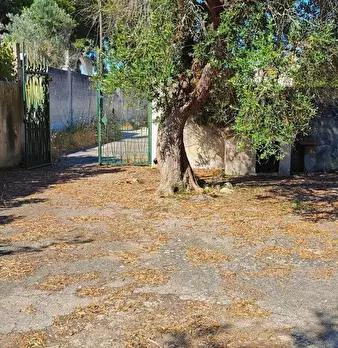Foto annuncio 17