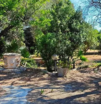 Foto annuncio 3
