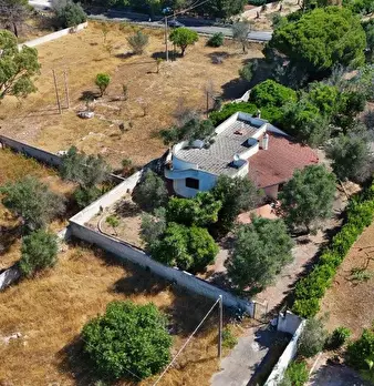 Foto annuncio 2