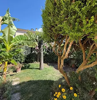 Foto annuncio 45