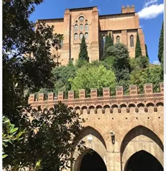 Foto annuncio 12