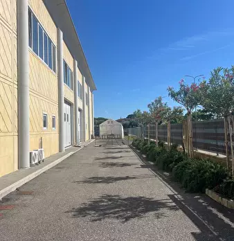 Foto annuncio 10