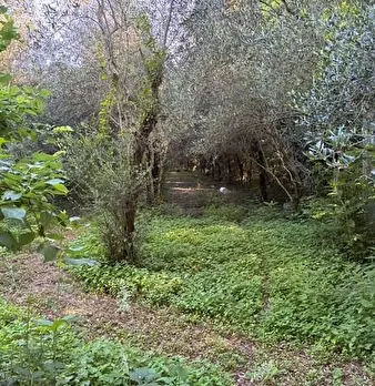 Foto annuncio 4