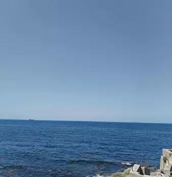 Foto annuncio 53