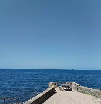 Foto annuncio 54