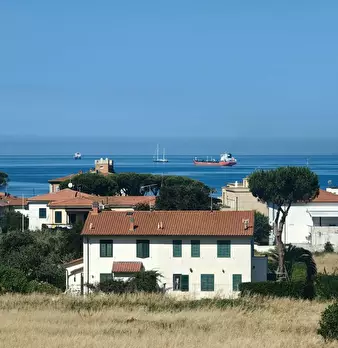 Foto annuncio 50
