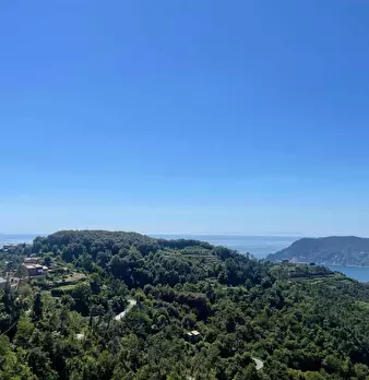 Foto annuncio 14