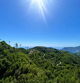 Foto annuncio 25