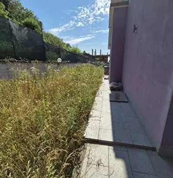 Foto annuncio 29