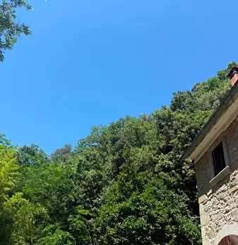 Foto annuncio 27