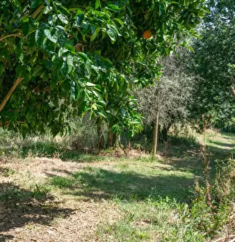 Foto annuncio 41