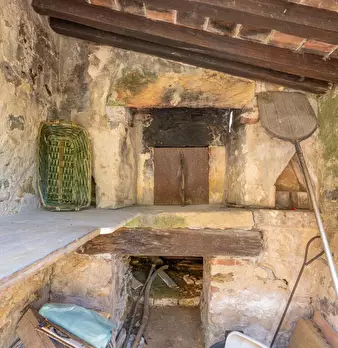 Foto annuncio 49