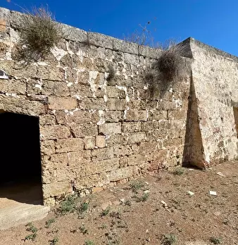 Foto annuncio 6