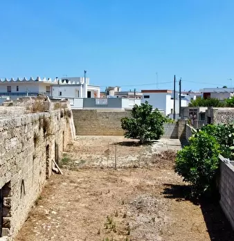 Foto annuncio 49