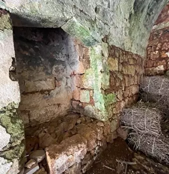 Foto annuncio 26