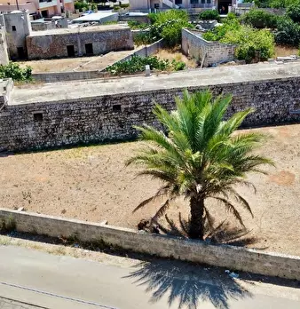Foto annuncio 43