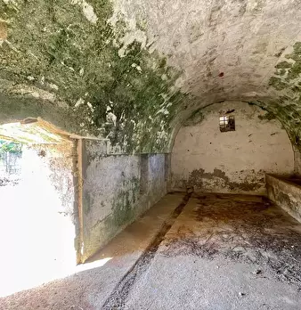 Foto annuncio 7