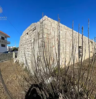 Foto annuncio 39