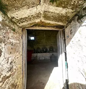 Foto annuncio 22