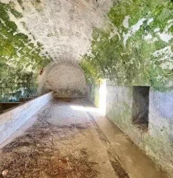 Foto annuncio 29