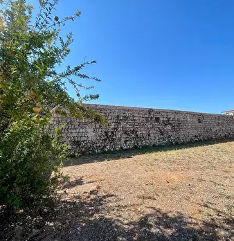 Foto annuncio 18