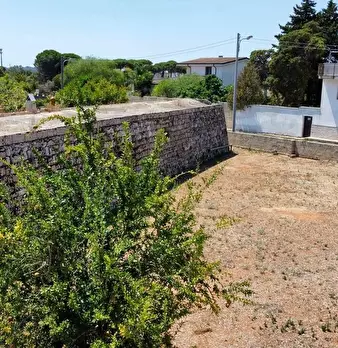 Foto annuncio 40
