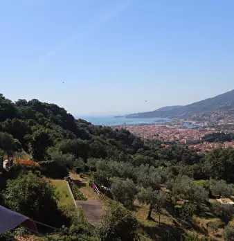 Foto annuncio 4