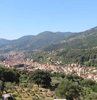 Foto annuncio 6
