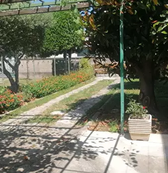 Foto annuncio 26