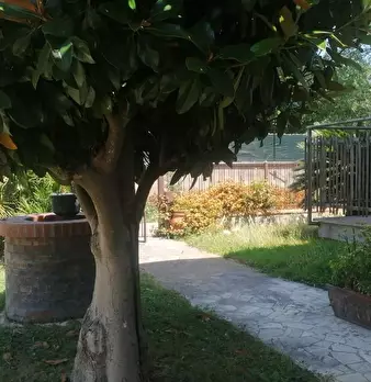 Foto annuncio 8